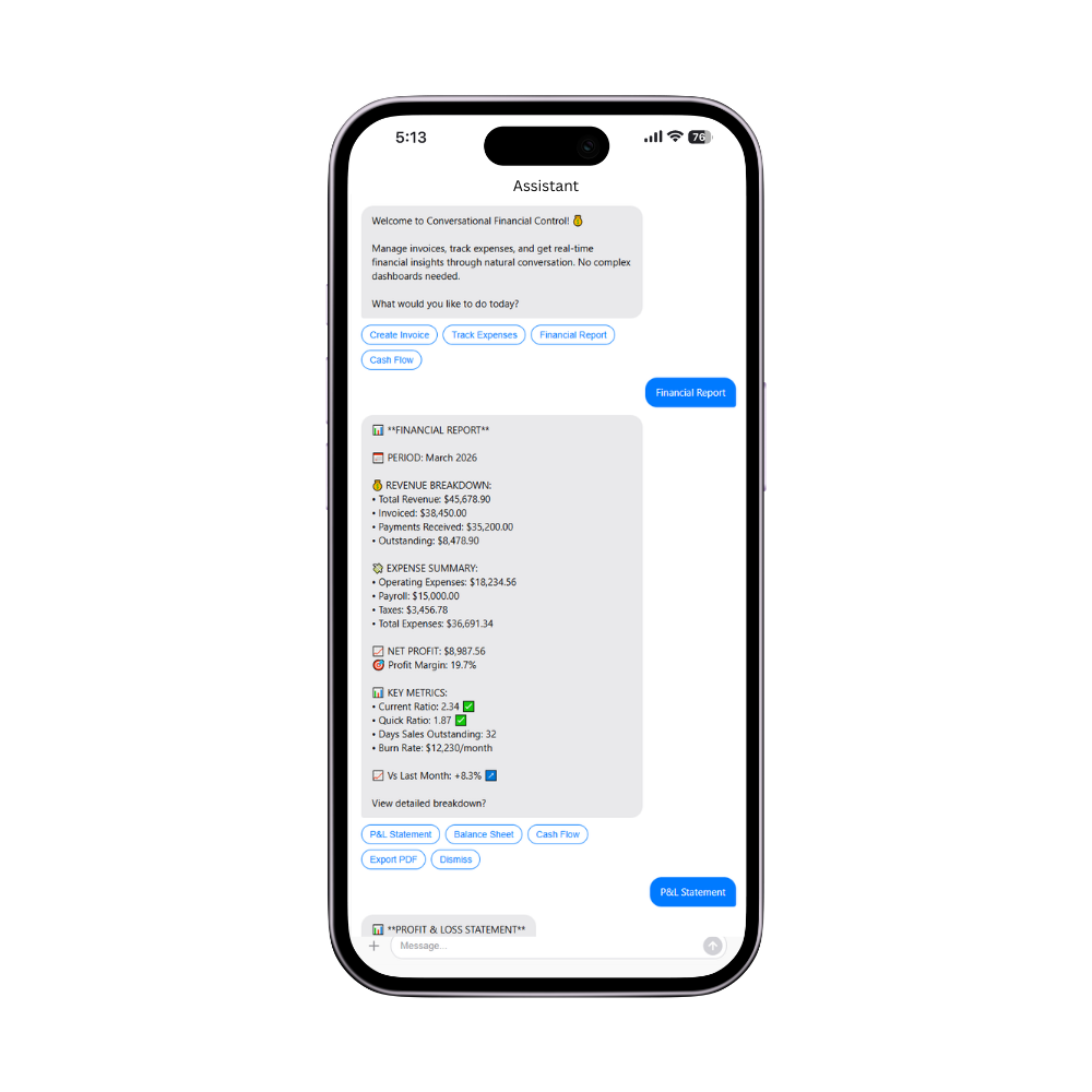 AI Financial Management Interface